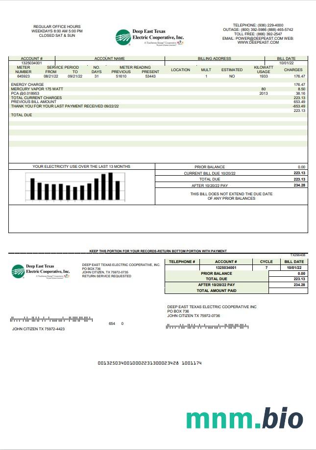 Szablon rachunku za media elektryczne w USA Deep East Texas w formacie Word i PDF